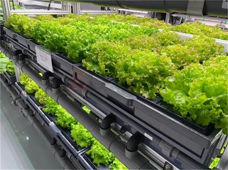 智慧農(nóng)業(yè)實驗室植物工廠搭建方案1