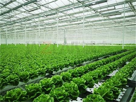 智慧農(nóng)業(yè)實驗室植物工廠搭建方案2